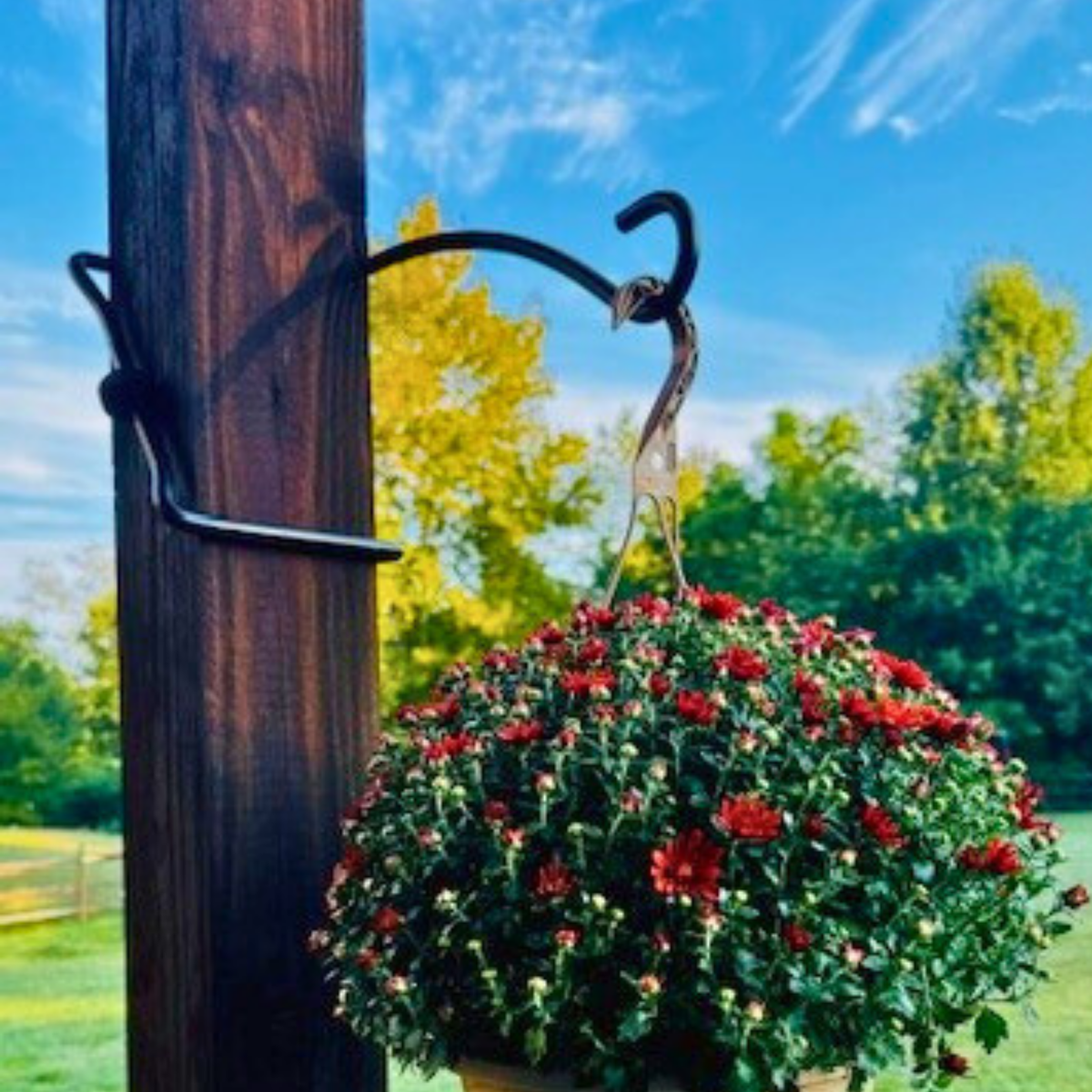 Best Hooks for Plants: 7 Options for Porches, Patios & Gardens