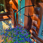 Hanging Plant Display Hook