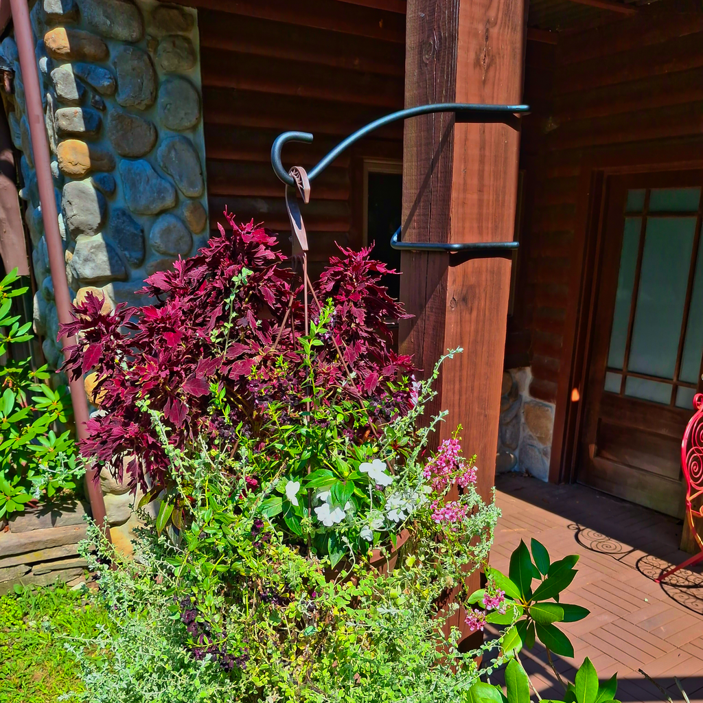 Hanging Plant Display Hook