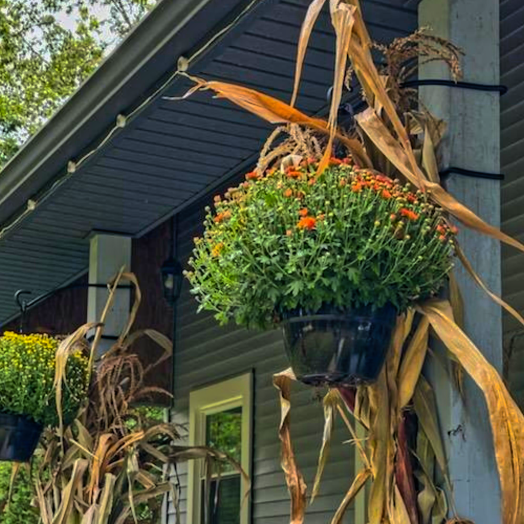 Hanging Plant Display Hook