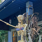 Hanging Plant Display Hook