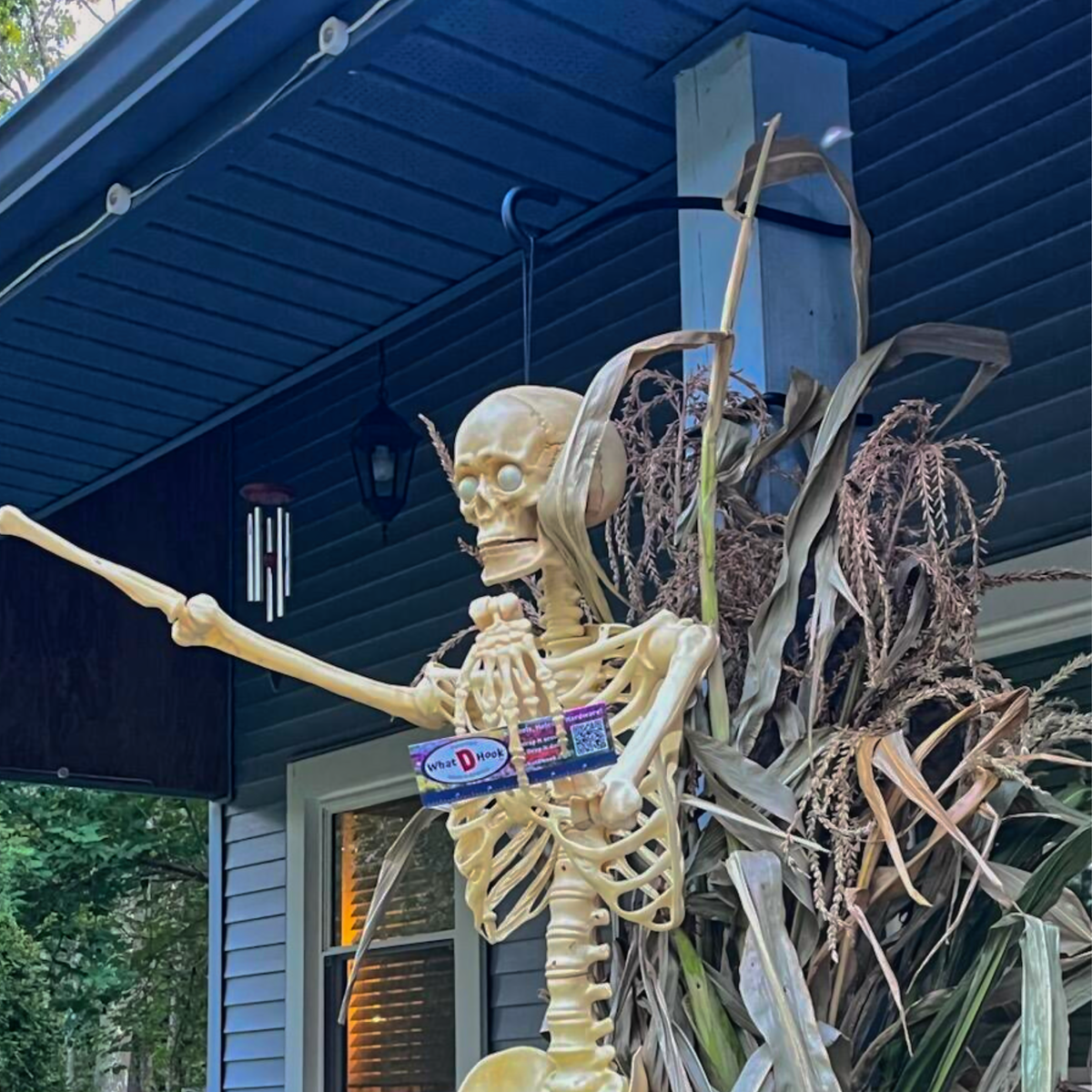 Hanging Plant Display Hook