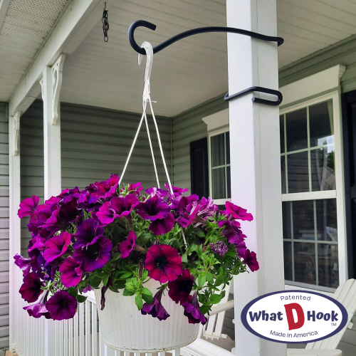 Hanging Plant Display Hook