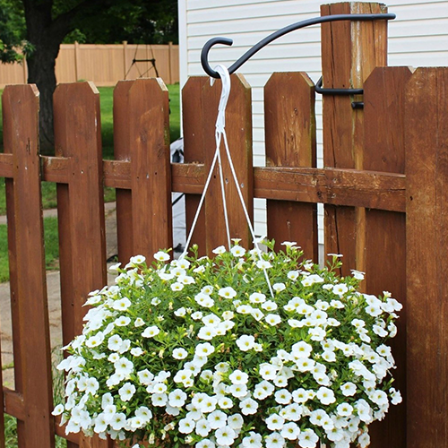 Hanging Plant Display Hook 3