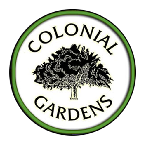 Colonial garden