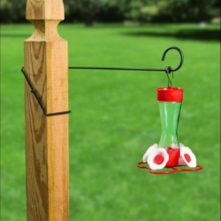 What D Hook Display Hook holding a hummingbird feeder.