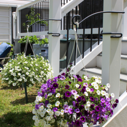 What D Hook Display Hook showcasing its hanging ability on porch posts.